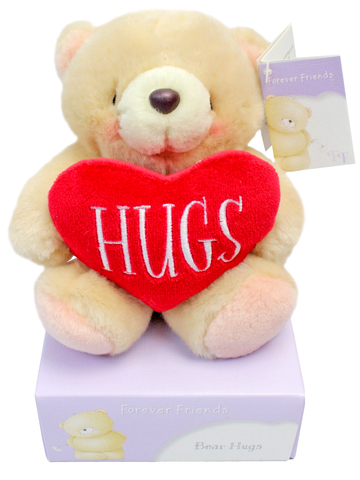 Teddy Bear n Doll - Hallmark Forever Friends Teddy(B) - L171929 Photo